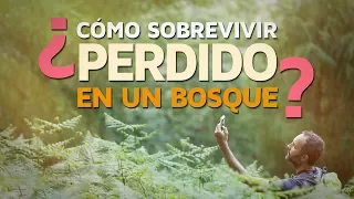 Cómo sobrevivir perdido en el bosque