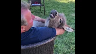 Man Sings to Donkey While Holding her in his Arms