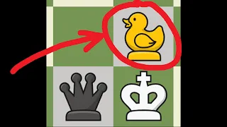 Did You Know About Duck Chess? - Chess Variants