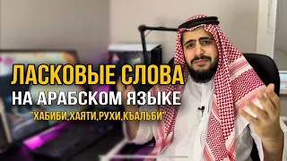 ЛАСКОВЫЕ СЛОВА НА АРАБСКОМ ЯЗЫКЕ (1 часть)