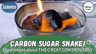 CARBON SUGAR SNAKE EXPERIMENT! ~ Science Experiment about THE GREAT CONTROVERSY ~ I Believe (#8)
