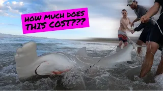 How Much It Truly Costs To Shark Fish (The Right Way) | LBSF