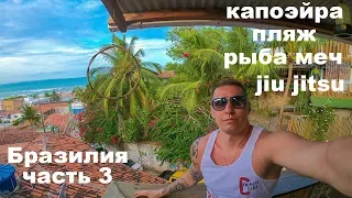 Vlog Бразилия часть 3 пляж капоэйра jiu jitsu рыба меч