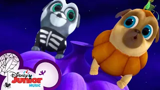 Bingo and Rolly's Halloween Songs 🎃 | Compilation | Puppy Dog Pals | Disney Junior