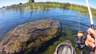 Magical Day on the Delta (50+ Fish day)