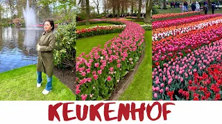 ВЛОГ🇩🇪 Королевский парк тюльпанов KEUKENHOF! | райское место | Нидерланды-2023 | Жизнь в Германии