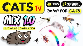 CAT TV - MIX 1 Ultimate Compilation 🙀 Game for cats 🐝 🐭🪳