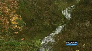 Crews hope popular spots affected by Eagle Creek Fire will reopen ‘soon’