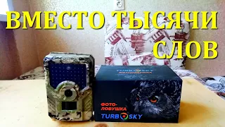 Фотоловушка TurboSky TurboSky Camera Trap