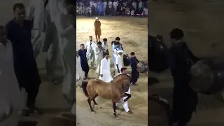 Horse dance | Mela Ghulam Shah Luddan | 🐎