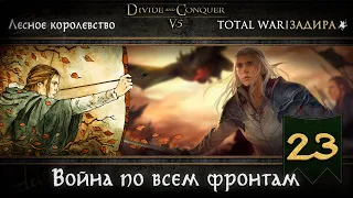 Лесные эльфы в Total War DaC v5.0 [#23] • Война по всем фронтам