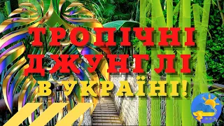 Україна перетвориться на справжні тропіки: синоптики назвали регіон, де вдарить + 39