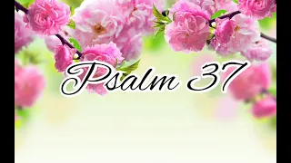 Psalm 37 - NLT Audiovisual