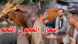 حرفنة التجار في شراء العجول اللحم من المربين امام مدخل سوق المواشي علي عينك ياتاجر شوفوا مناهدة التج