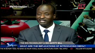 ON THE SPOT: The implications of introducing GMOs to Uganda