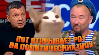 Кот открывает рот (pop cat) на политических шоу