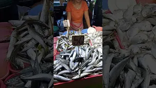 subrang mura nang mga #fish