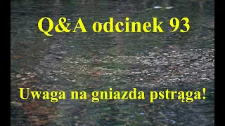 Q&A odcinek 93 - Uwaga na gniazda pstrąga!