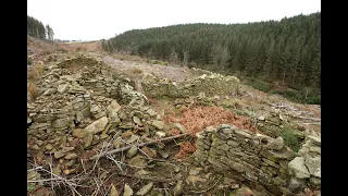 The lost squatters' hamlet on Newtown Mountain, Penycae