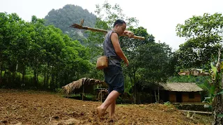 FORGING A GARDEN CLAW: planting cotton, planting corn, renovating the garden after winter - Ep. 135