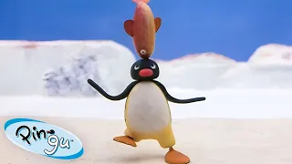 Pingu's Favorite Games 🐧 | Pingu - Official Channel | Cartoons For Kids