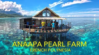 INCREDIBLE FRENCH POLYNESIA, Anapa Pearl Farm, Raiatea, Society Islands: Amazing Planet (4K) 2023