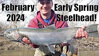 Indiana Tributary Steelhead: Early Spring Steel! 2/27/24