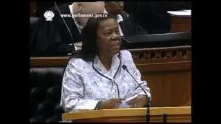 Hon the Minister of Home Affairs - Use of Waterkloof Air Force Base Debate