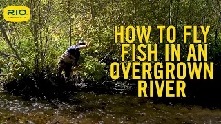 How To Fly Fish In An Overgrown River - S5 E10