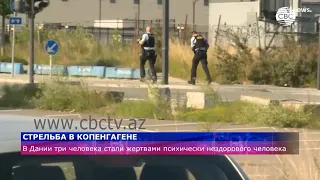 В торговом центре Копенгагена в результате стрельбы погибли три человека