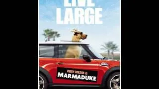 Marmaduke