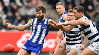 North Melbourne vs Geelong Cats match highlights (Round 20, 2021)