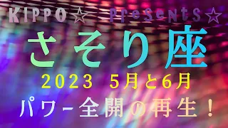 さそり座さん♏2023年5月6月☆新たなプロジェクト☆力みなぎる初夏☆