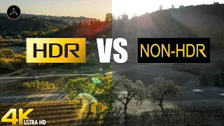 DJI Mavic Air 2 HDR 4K vs Normal 4K - Which shooting mode is best for you? | 2021 (3/5)