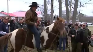 'Don’t frighten the horses': Roy Moore arrives on horseback to cast vote