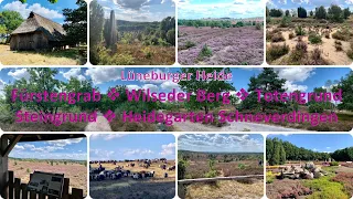 Lüneburger Heide, Rundwanderweg Wilseder Berg, Totengrund, Steingrund, Heidegartem Schneverdingen