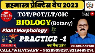 BRAHMASTRA PRACTICE BATCH || TGT PGT LT BIOLOGY || BOTANY || PLANT MORPHOLOGY || PRACTICE SET:- 01