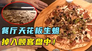 天花板死老鼠，盘中发现蛆，24小时改造这家餐厅？