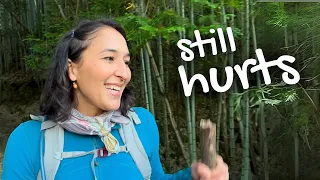Pain and Laughter: Kumano Kodo Pilgrimage Day 2