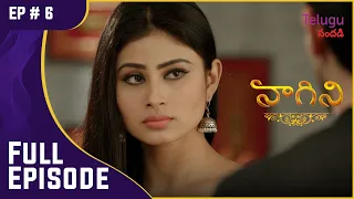 Naagini | నాగిని | Ep. 6 | Ritik Has 'Mrutyu Yogam'! | రితిక్‌కి 'మృత్యు యోగం'!