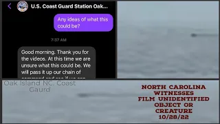 Oak Island, North Carolina  Unidentified Sea creature or USO? Filmed Oct,30th,2022