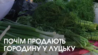 Людей багато, але купують менше: почім свіжі овочі на ринку в Луцьку