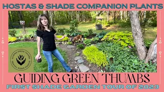 Happy Mother's Day! // Weekend Shade Garden Tour 2023 // Hostas and Shade Garden Companion Plants