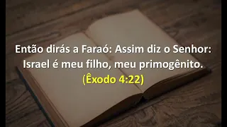 O Que Significa "Primogênito"? / Pensando as Escrituras