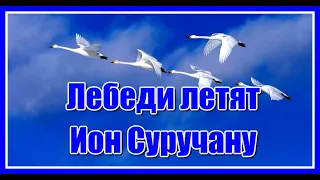 "Лебеди летят " Автор песни Ян Райбург. Исполняет Ион Суручану. Жизненная песня .За душу берёт...