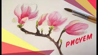 Как нарисовать цветок МАГНОЛИИ? Как нарисовать весенние цветы? Уроки рисования для начинающих