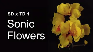 Sonic Flowers – TouchDesigner x StableDiffusion Tutorial 1