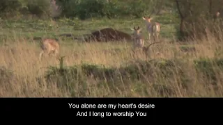 As the deer panteth | English Song with lyrics