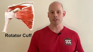 How to Build a BulletProof Rotator Cuff With Calisthenics