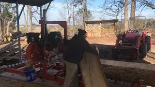 #35 White Oak slabs on the Woodmizer LT15 Wide